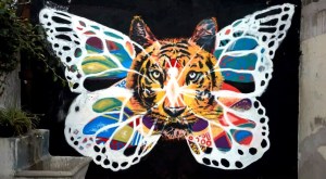 Talleres de Muralismo