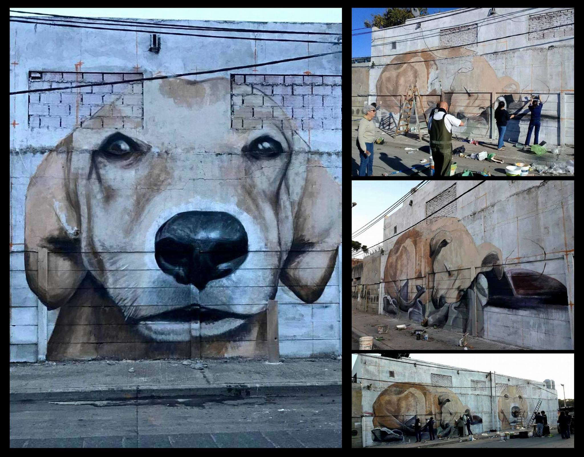 37078687_2197901300447435_8538291033354534912_o