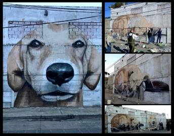 37078687_2197901300447435_8538291033354534912_o