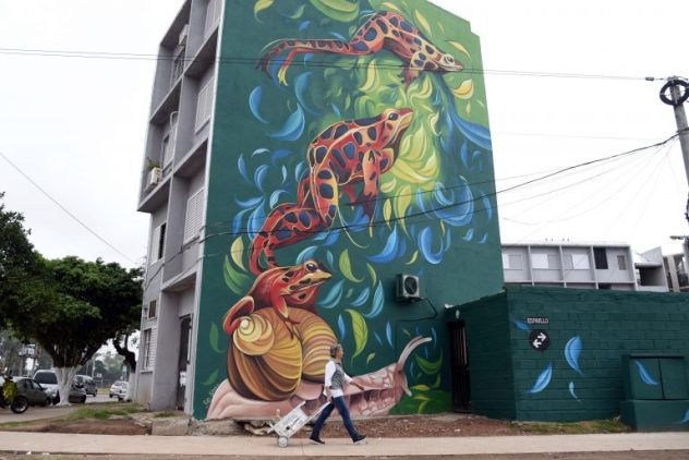 street art, muralismo