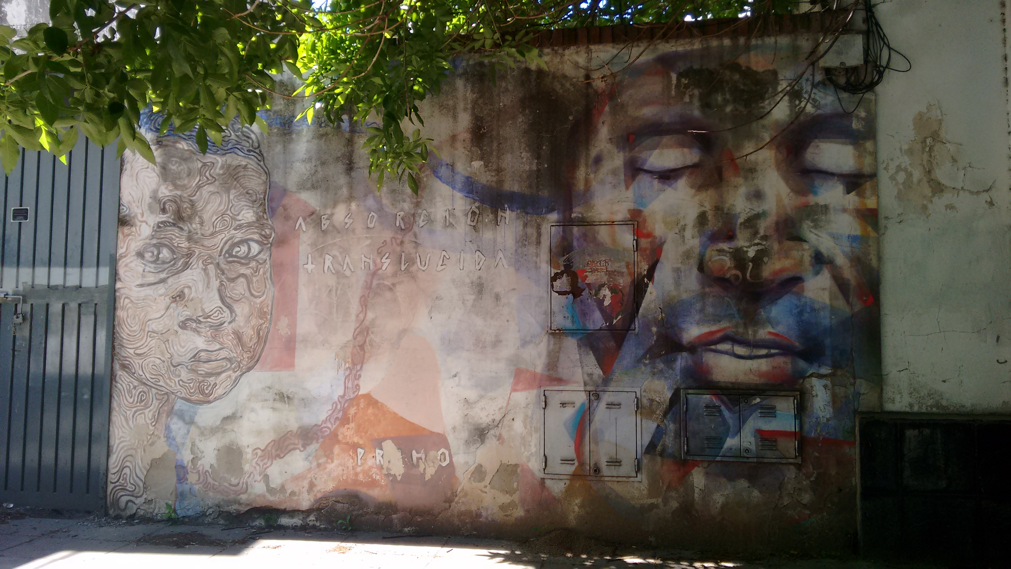 Gral. Manuel Rodriguez al 2100, sasha primo-1