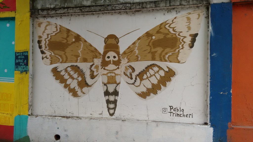 Rojas al 1300. Artista: Pablo Trincheri. Foto: año 2021.