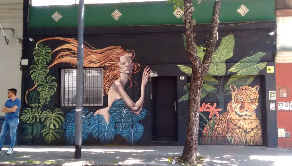 Serrano 1126 - Artista: iarakm. Foto: año 2021.