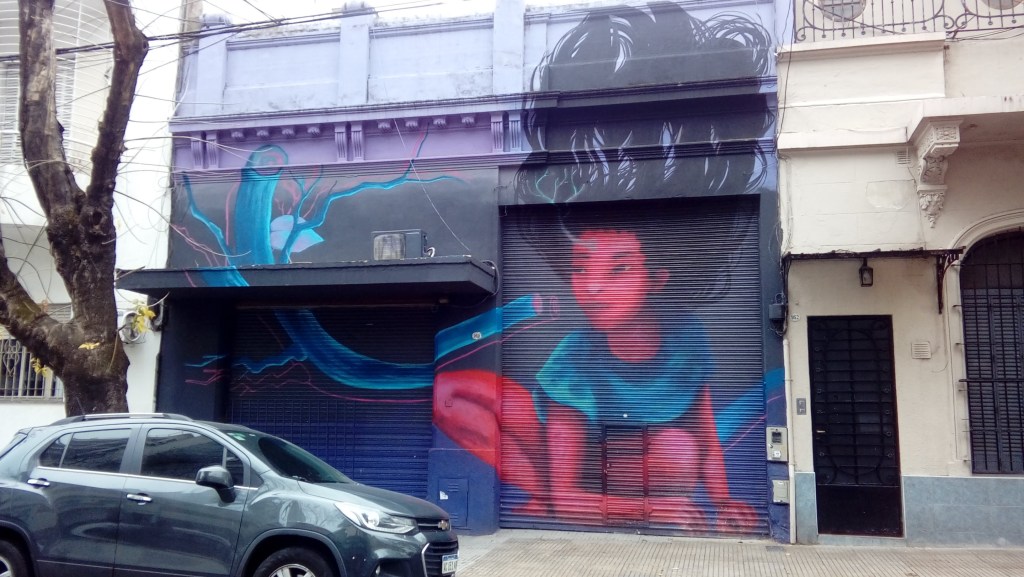 Lavalleja 960. Artista: Irene Lasivita. Foto: año 2020.