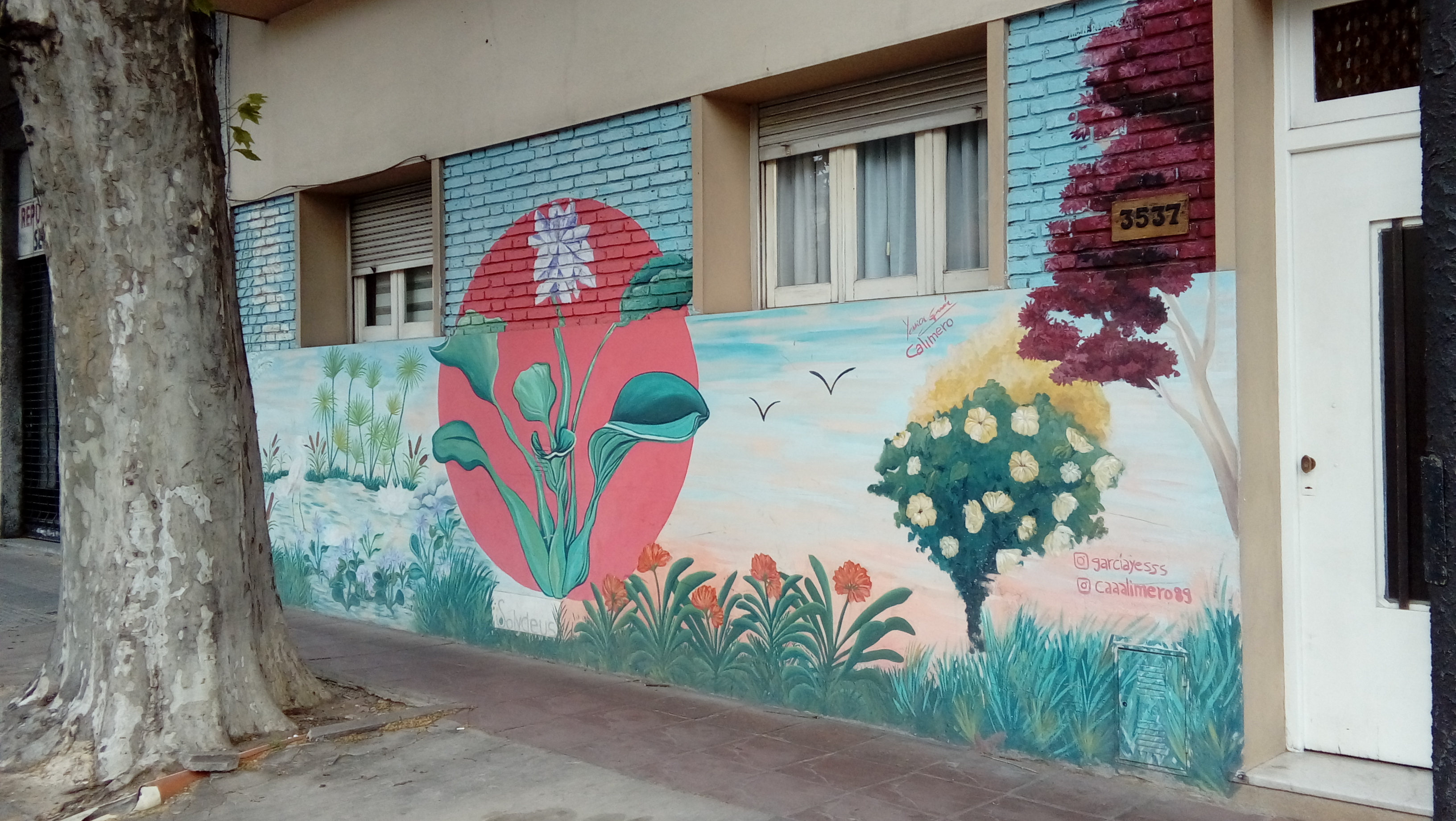 Juan B Justo 3537 - Yessica Garcia y Calimero